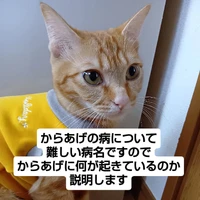 画像2448