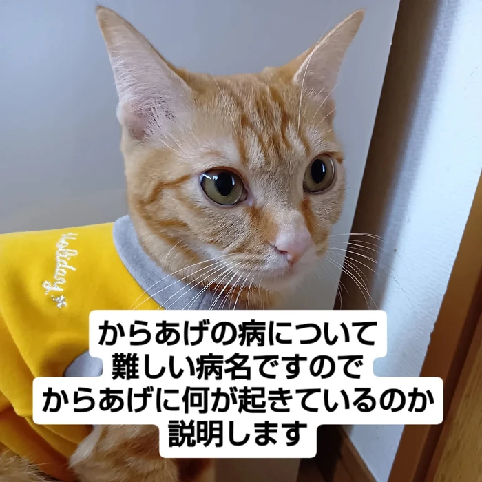 画像2448