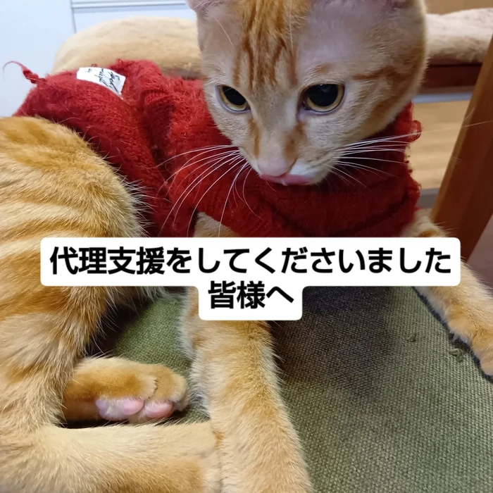 画像2452