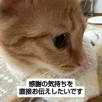 画像2455