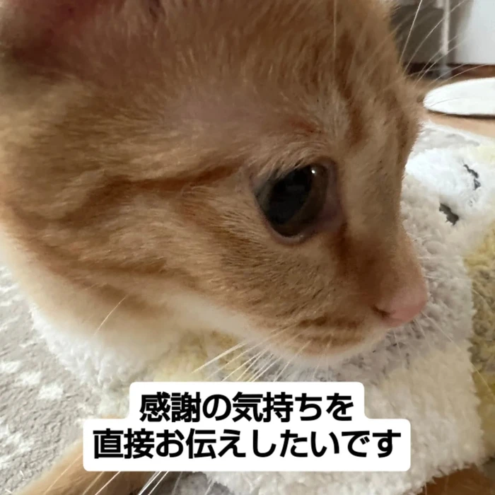 画像2455