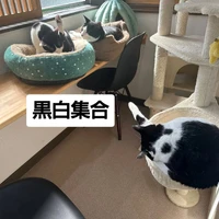 画像2458
