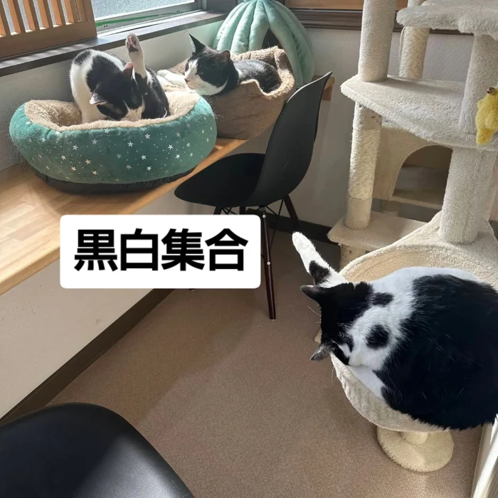 画像2458
