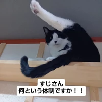画像2460