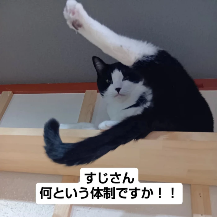 画像2460