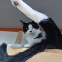 画像2461