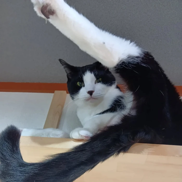 画像2461