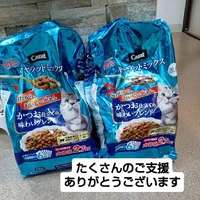 画像2463