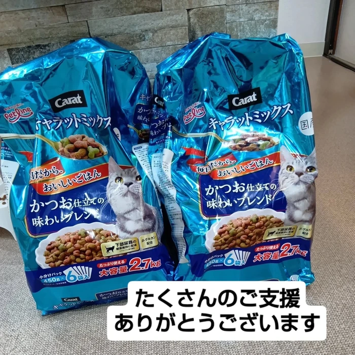 画像2463