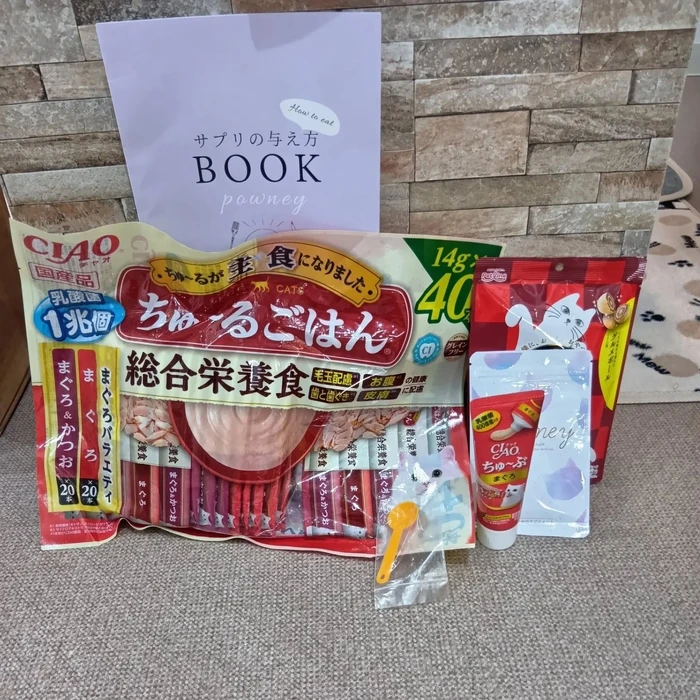 画像2465