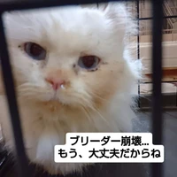 画像2469