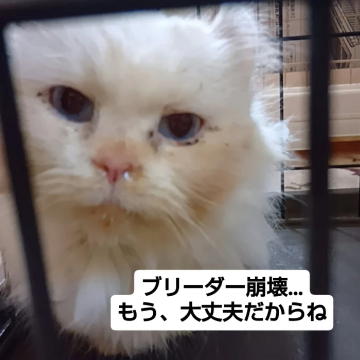 画像2469