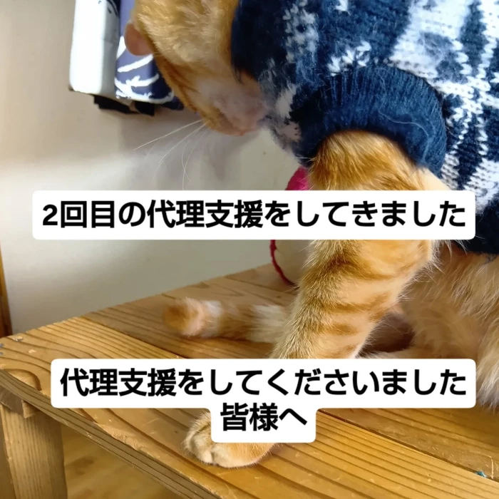 画像2484