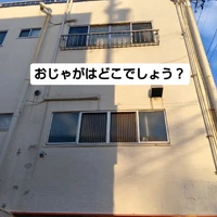 画像2488