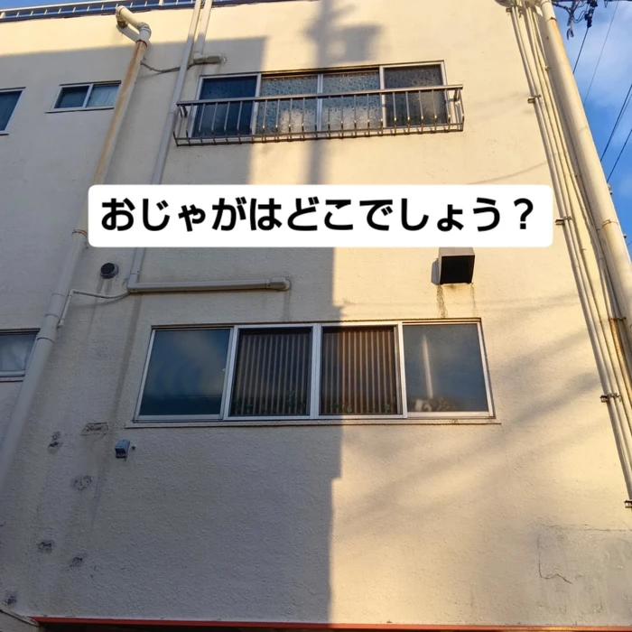 画像2488