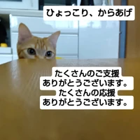 画像2493