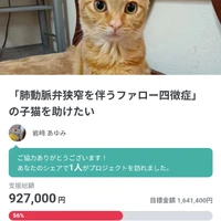 画像2495