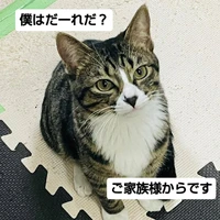 画像2499