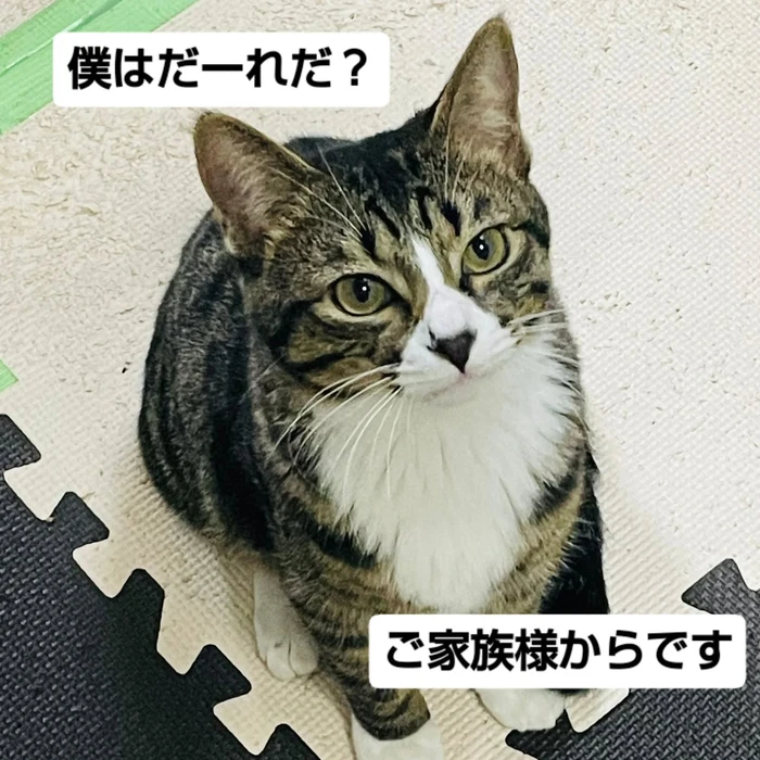 画像2499