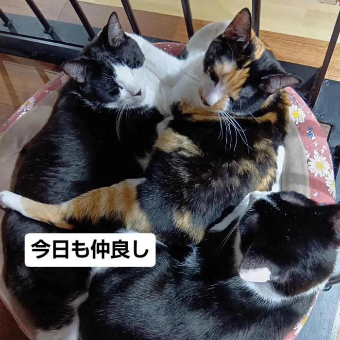 画像2506
