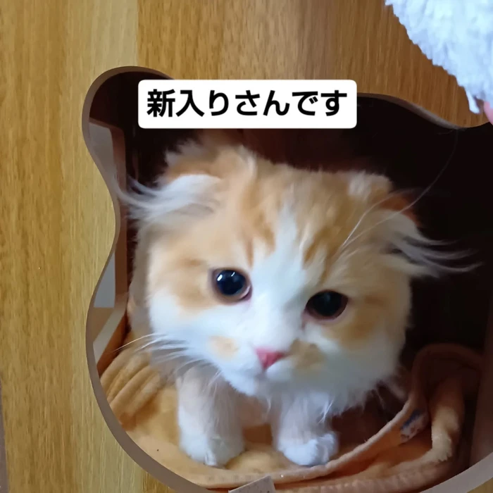 画像2512