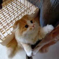 画像2513
