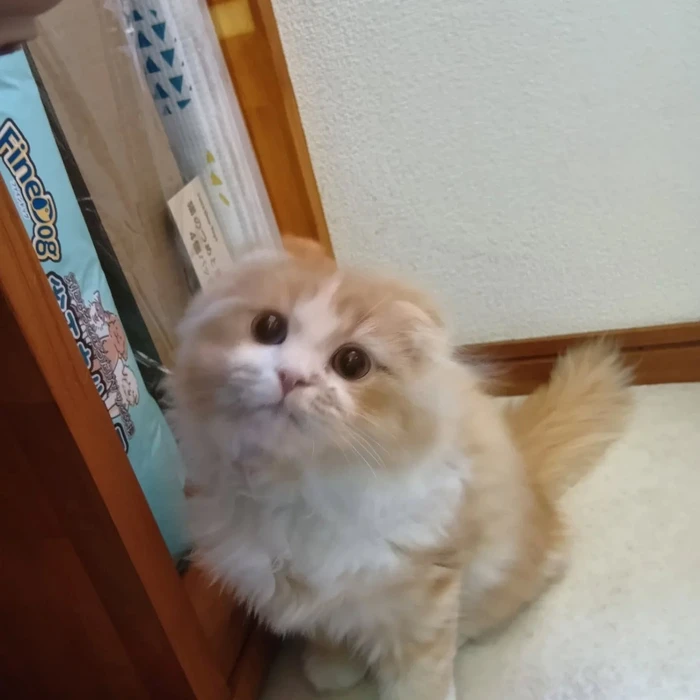画像2514