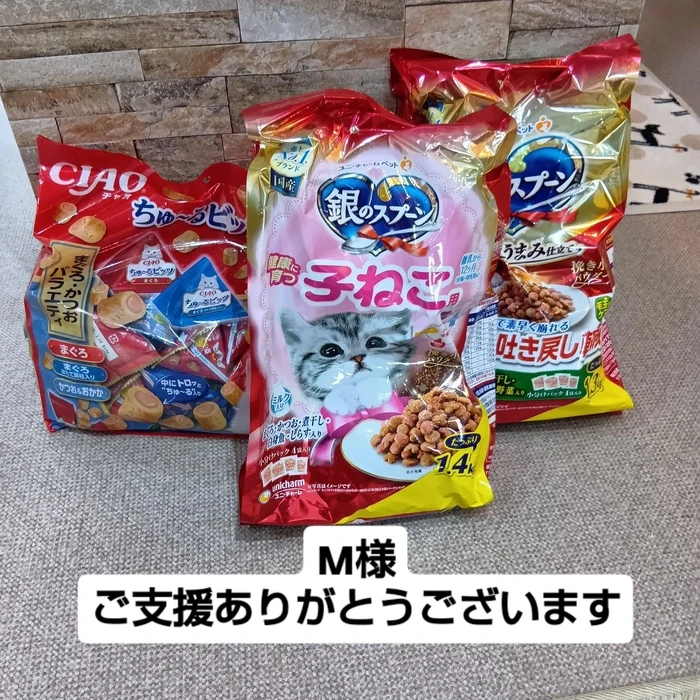 画像2516