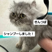 画像2518