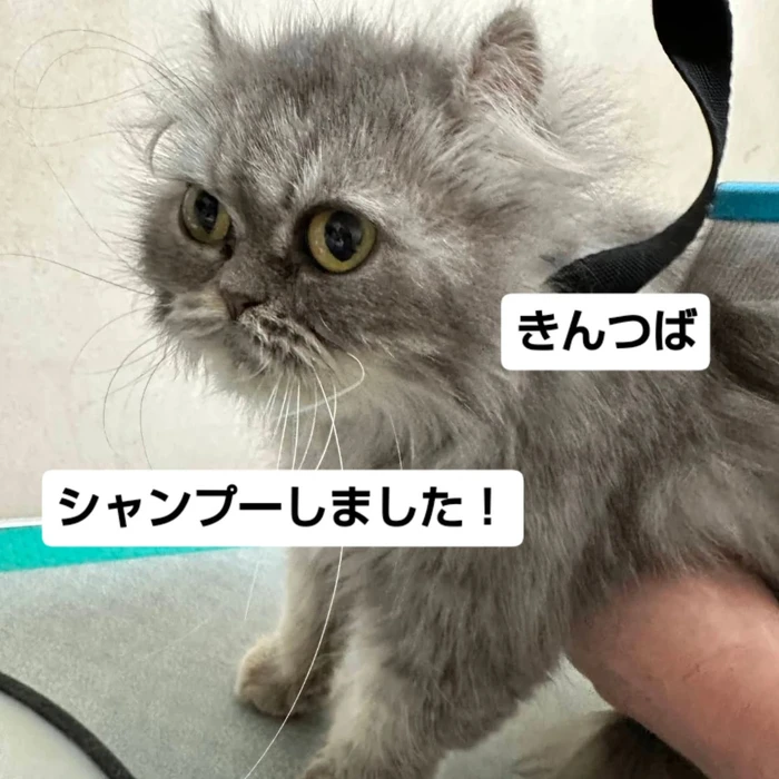 画像2518