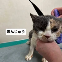 画像2519