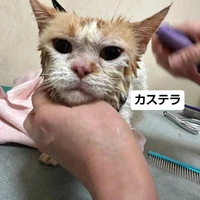 画像2520