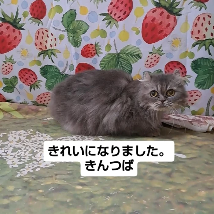 画像2521