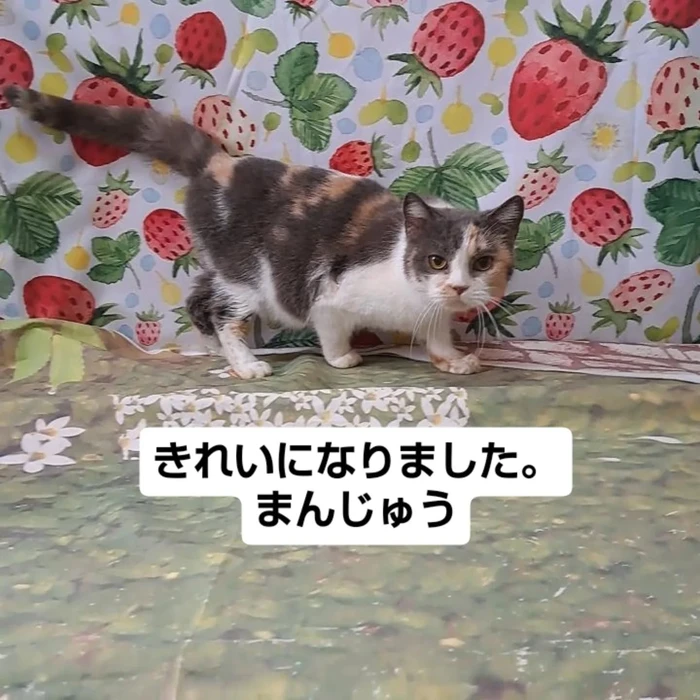 画像2522