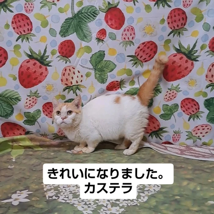 画像2523