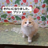 画像2524