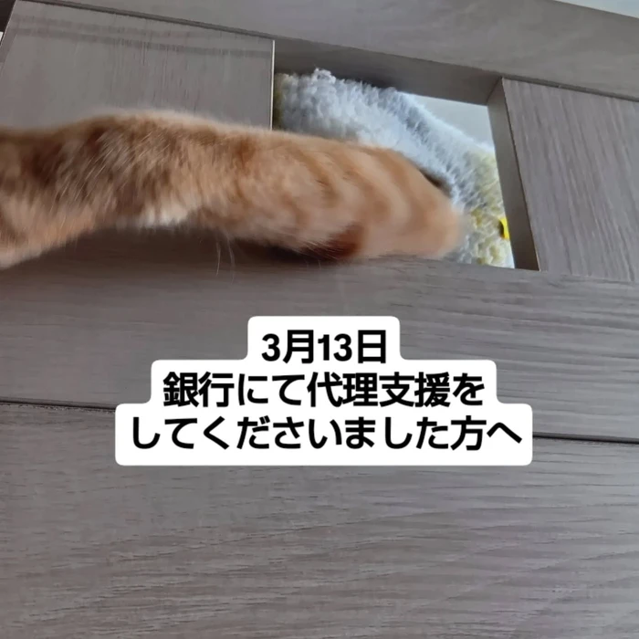 画像2526