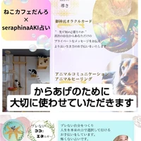 画像2536