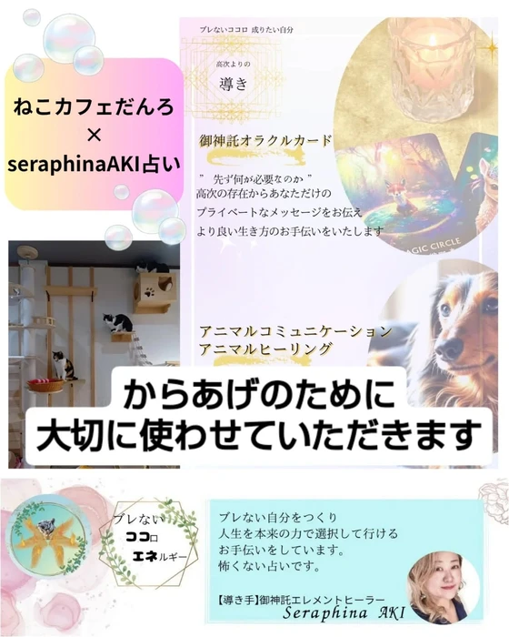 画像2536