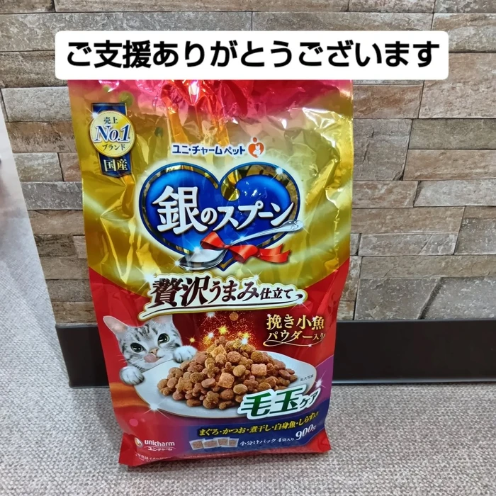画像2540