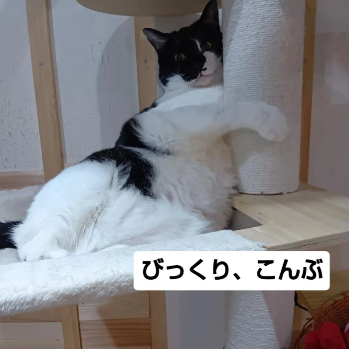 画像2544