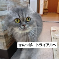 画像2548