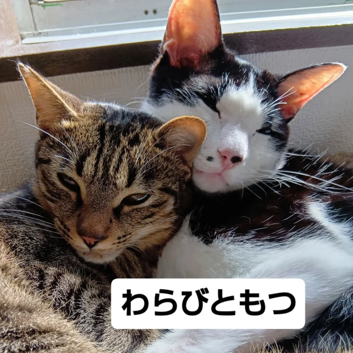 画像2556