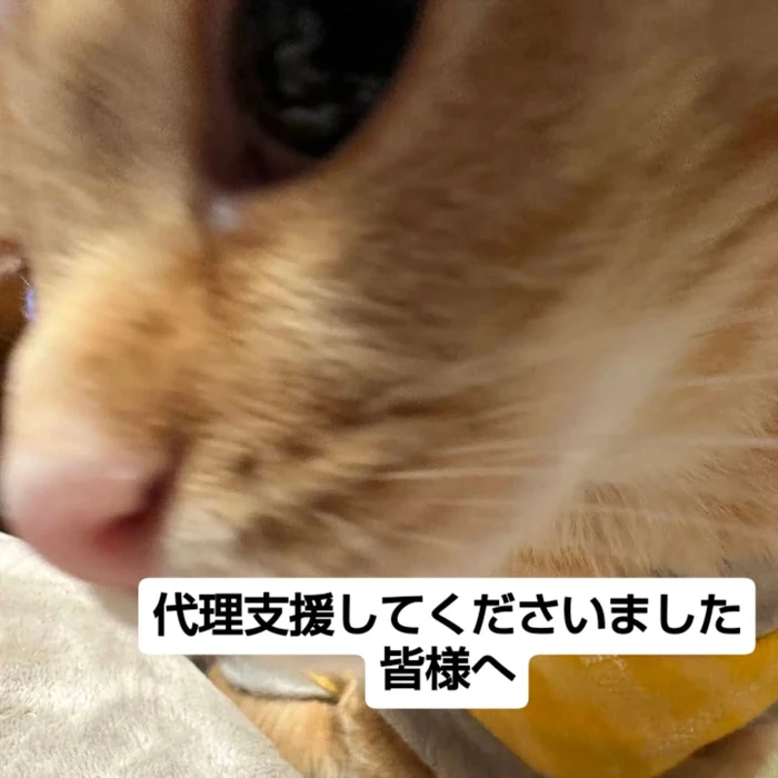 画像2564