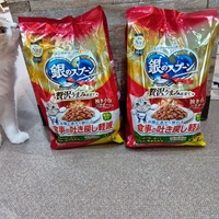 画像2569