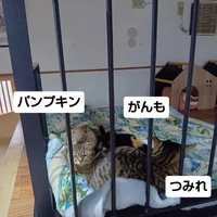 画像2572