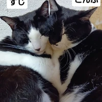 画像2576