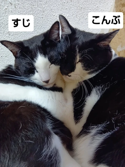 画像2576