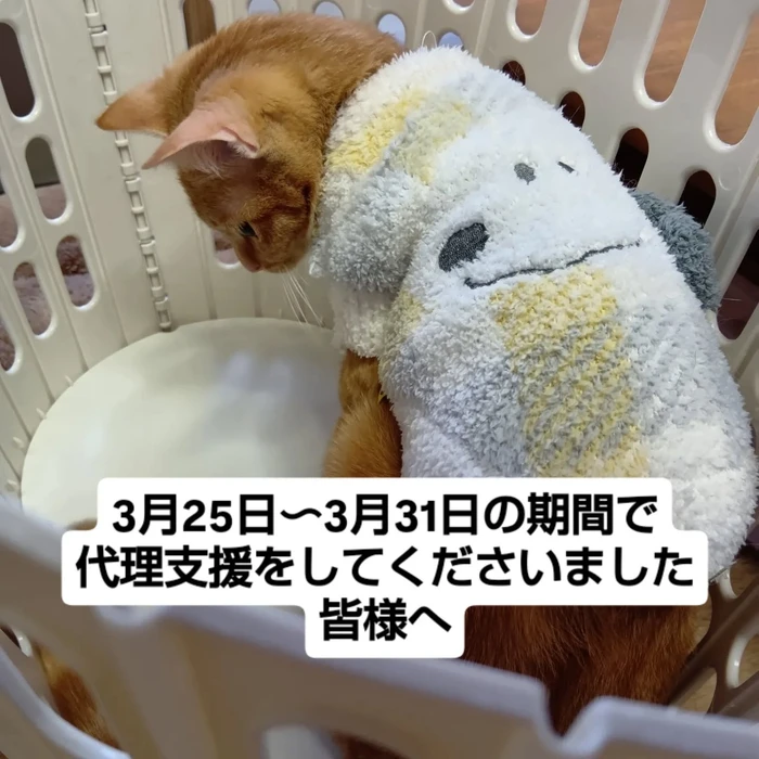 画像2593