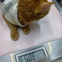 画像2599